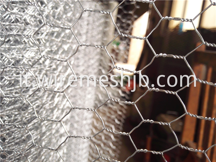 Hexagonal Wire Fence
